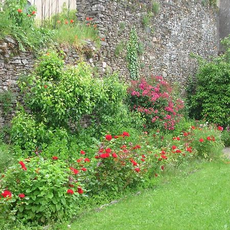 Vouvant B&B "Les Remparts" מראה חיצוני תמונה